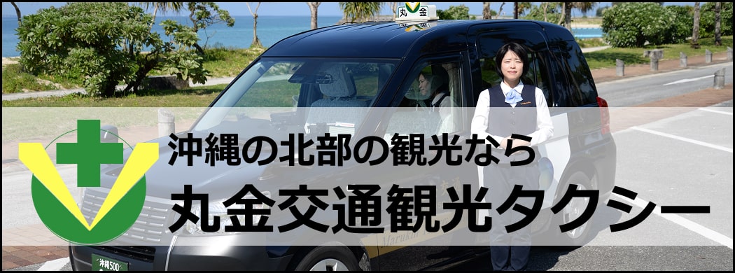 丸金観光タクシー