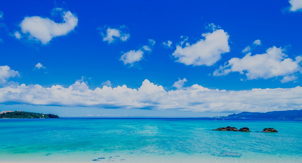 株式会社丸金交通 沖縄県名護市 タクシー事業