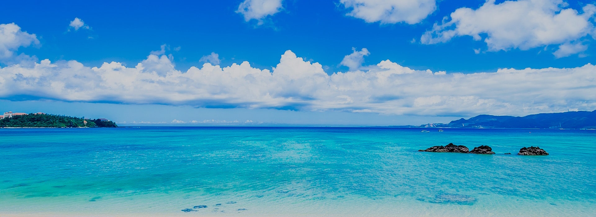 地元に愛され続ける企業を目指す 株式会社丸金交通