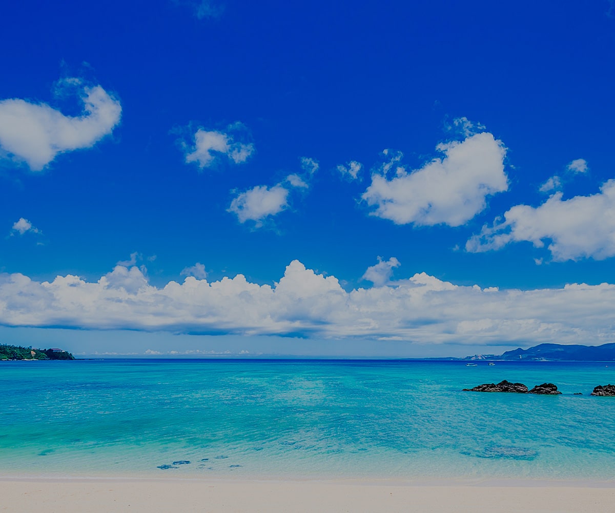 株式会社丸金交通 沖縄県名護市 タクシー事業