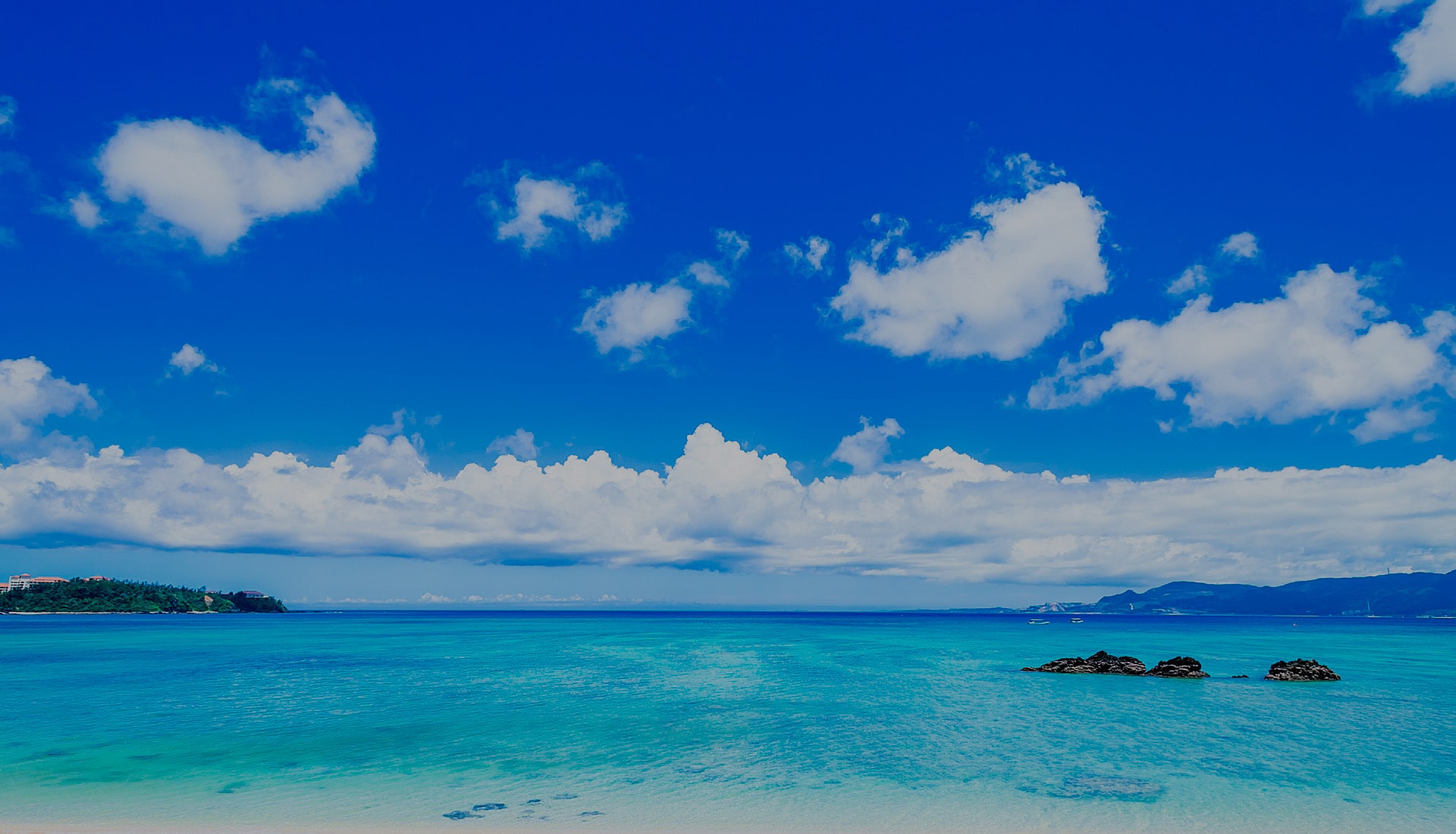 地元に愛され続ける企業を目指す 株式会社丸金交通